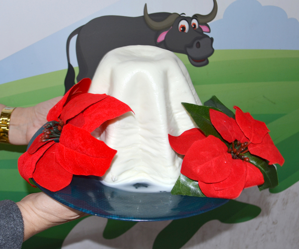 Pandoro Di Mozzarella